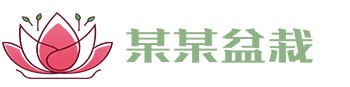 J9九游会-真人游戏第一品牌